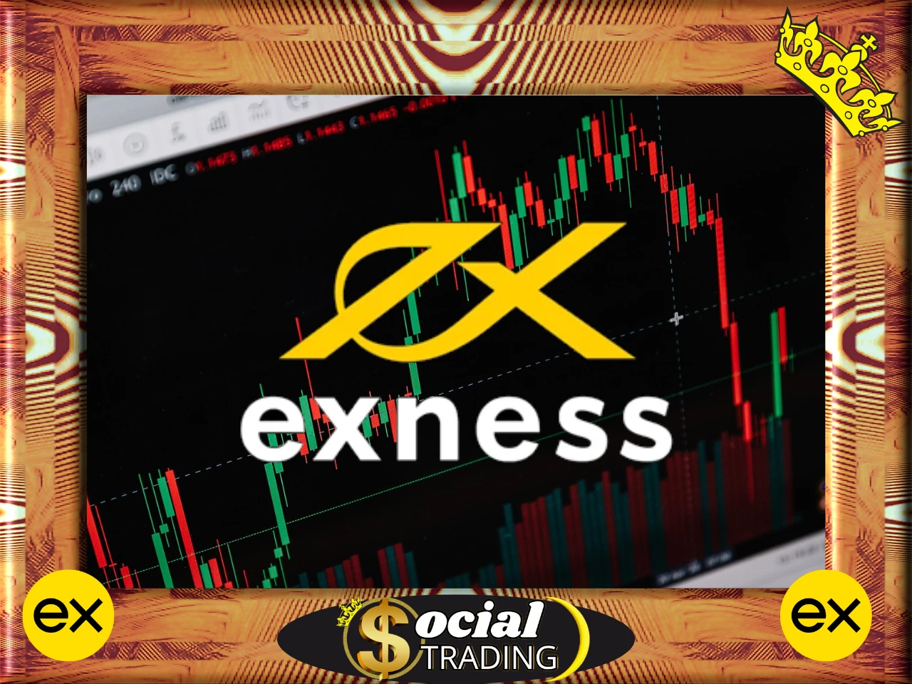 hacer copy trading con exness